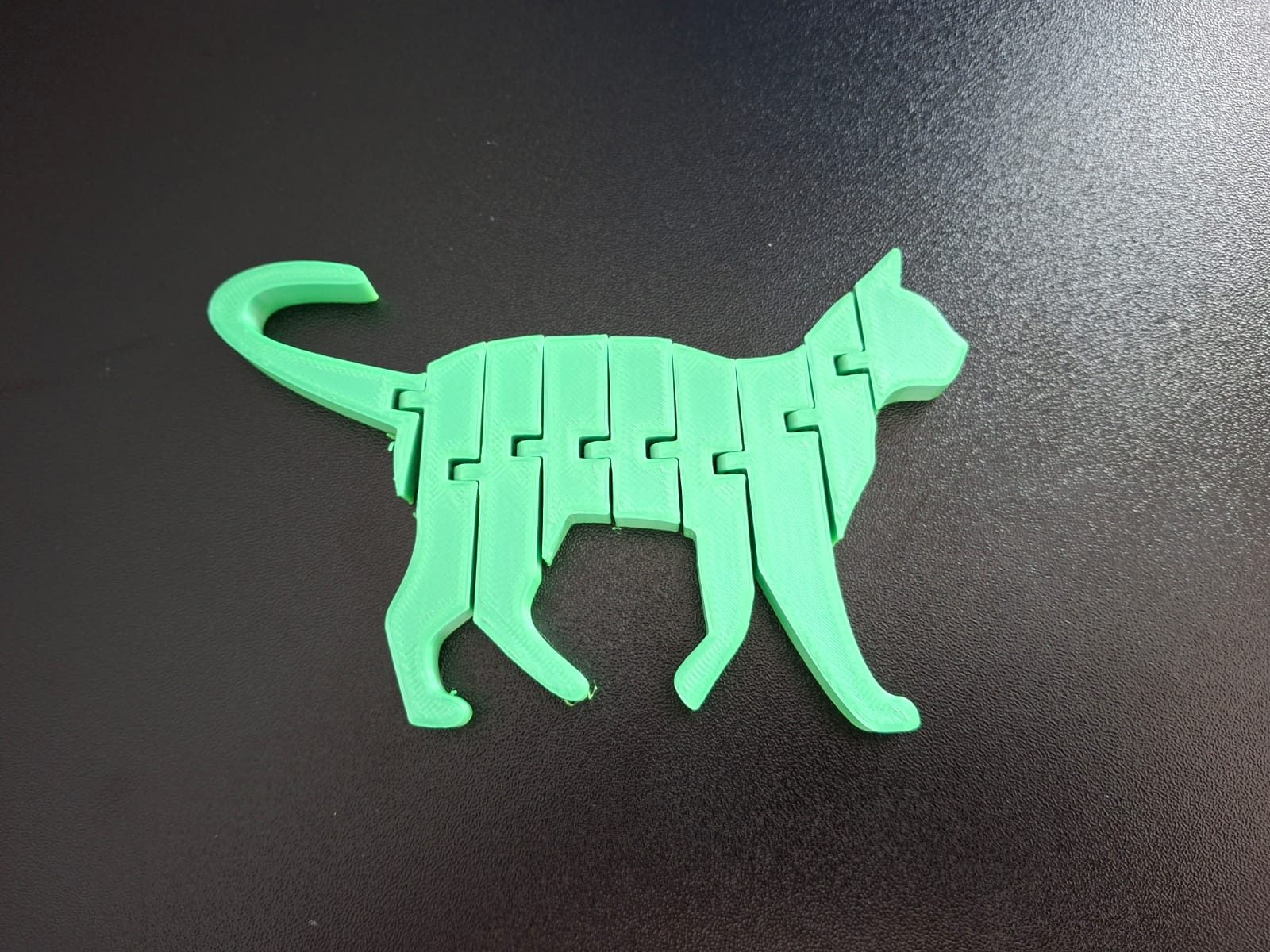3d Printed cat